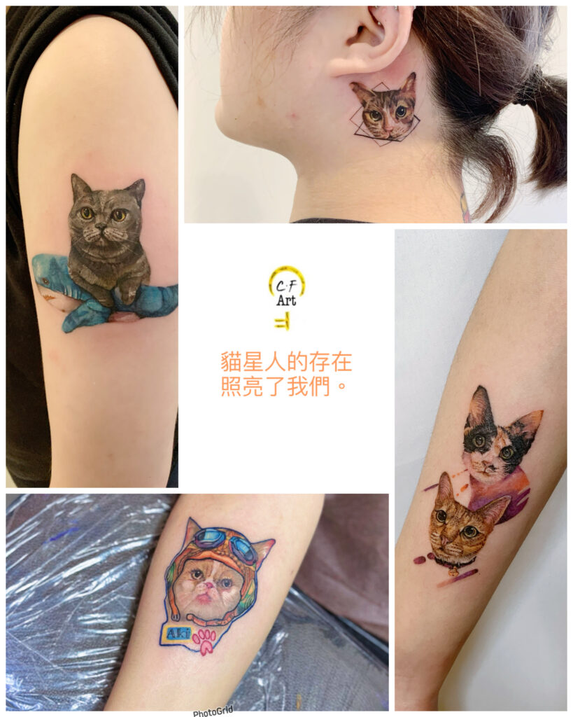 貓刺青是個性與靈魂的刺青故事